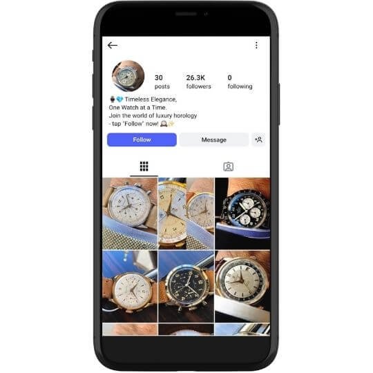 ****niity.watches (26.3k followers)